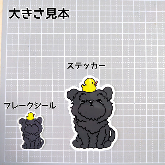 おすわりしてるアーフェンピンシャーちゃん。1-2