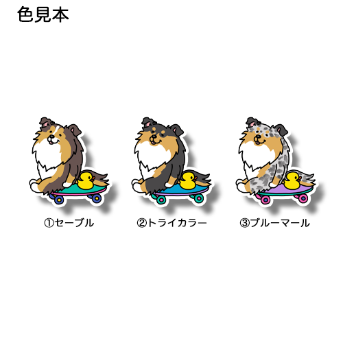誰か来ないかなーって待ってるシェルティちゃん。38-13