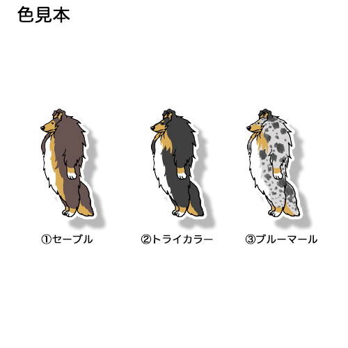 立ってるだけで名犬のラフコリーさん。116-5
