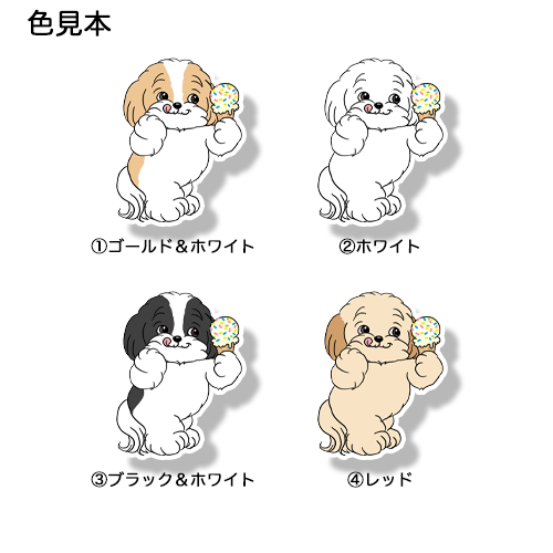 アイスクリーム大好きマルシーズーちゃん。108-5