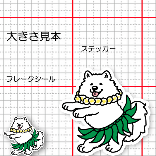 フラサモエドさん。33-15