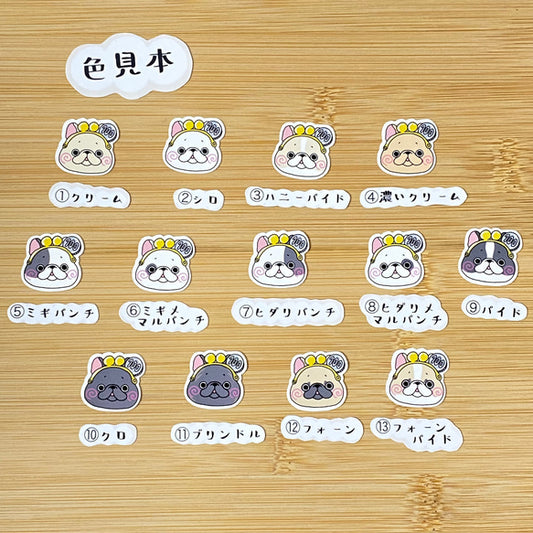 ガマグチフレブルちゃん。96−112