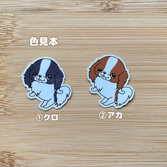 かわいい狆ちゃん。66-4