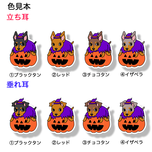 オバケカボチャとミニピンちゃん。113-11