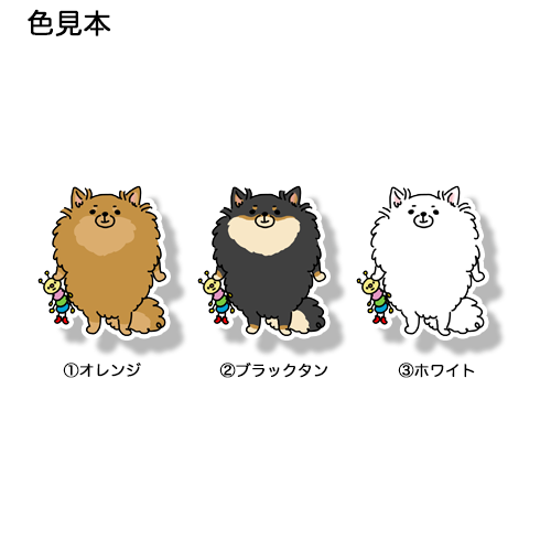 おでかけを期待してるポメチワちゃん。102-7