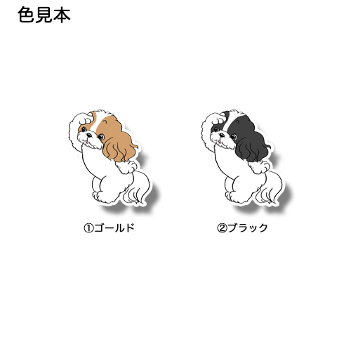 お友達待ってるシーズーちゃん。35-32