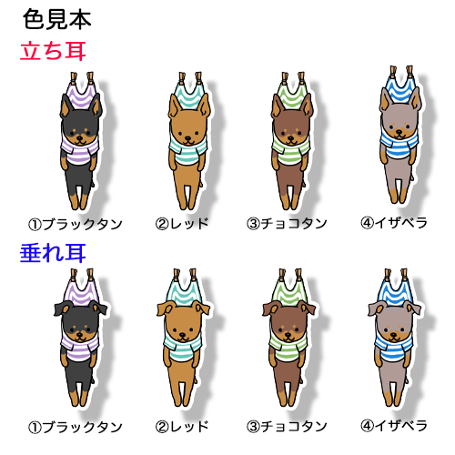 干されちゃったミニピンちゃん。113-23