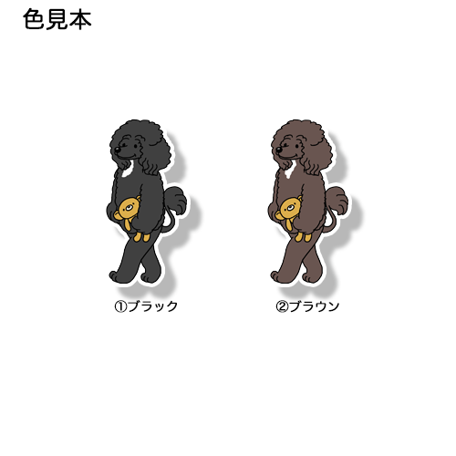 てくてくポーチュギーズウォータードッグさん。129-1