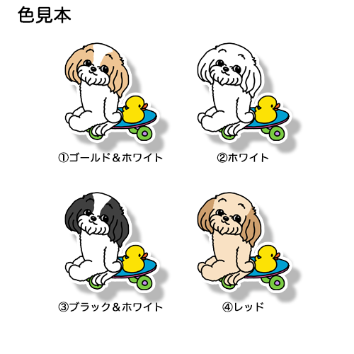 誰かと遊べるのを待ってるマルシーズーちゃん。108-1