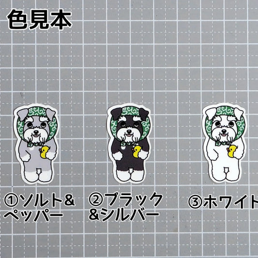 ほっかむりのシュナウザーちゃん。44-5