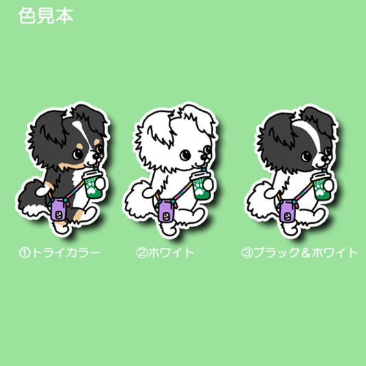 休日のおでかけチワマルちゃん。63-3