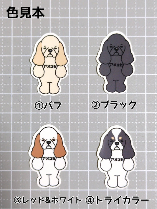 アメコカ。5-1