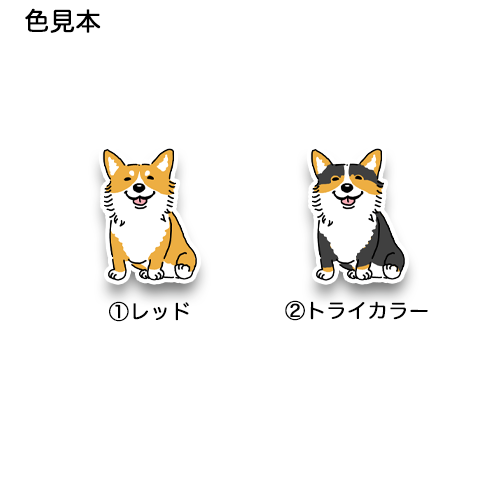 オスワリコーギーちゃん。15-22