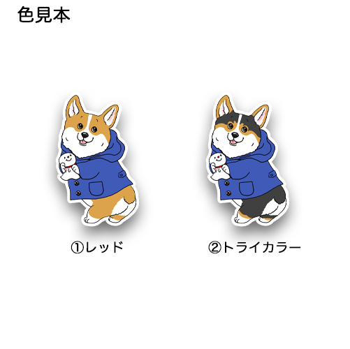 晴れてほしいコーギーちゃん。15-13