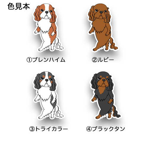 何かが気になってるキャバリアちゃん。 26-9
