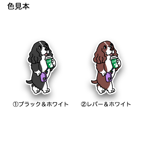 おでかけイングリッシュスプリンガースパニエルちゃん。11-2