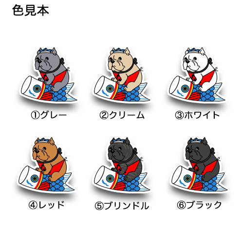 端午の節句のアメリカンブリーちゃん。7-9