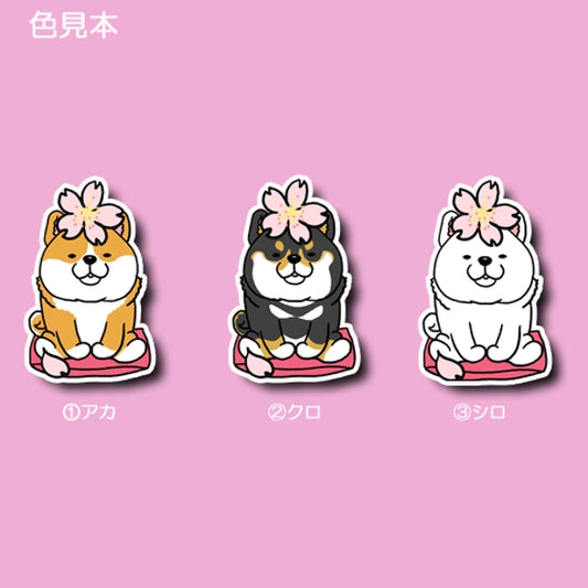 シバちゃんの春のご挨拶。39-12