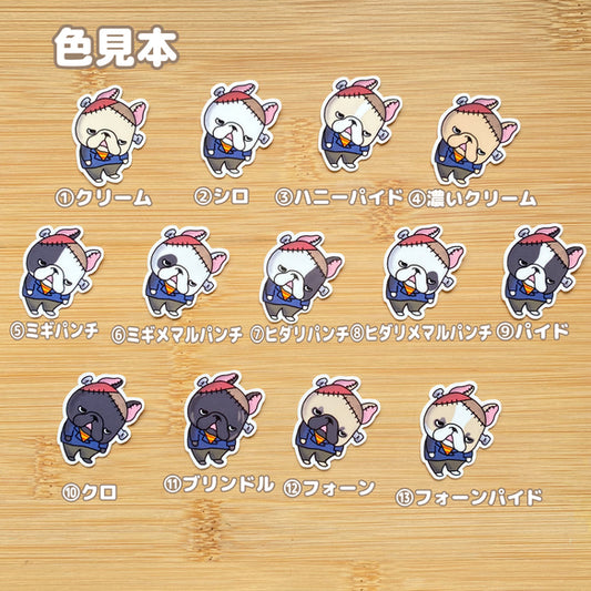 フランケンフレブルちゃん。96−329