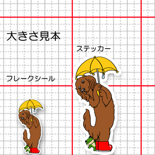 梅雨の散歩で出会ったアイリッシュせたさん。2-9