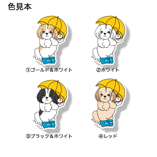 梅雨のお散歩のマルシーズーちゃん。108-14