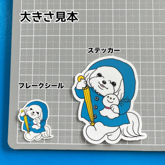 晴れてほしいマルチーズちゃん。109-