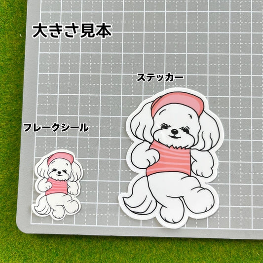 夏のお散歩のマルチーズちゃん。109-