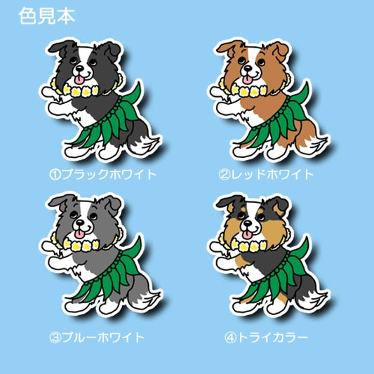 フラボーダーコリーちゃん。106-