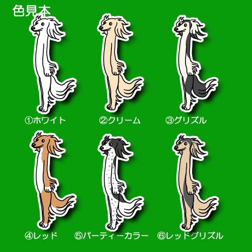 風に吹かれるサルーキさん。34-3