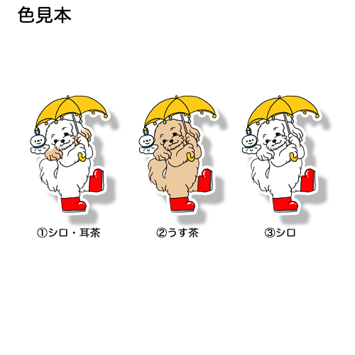梅雨のお散歩のマルプーちゃん。111-17