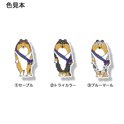 名犬ラフコリーさん。116-2