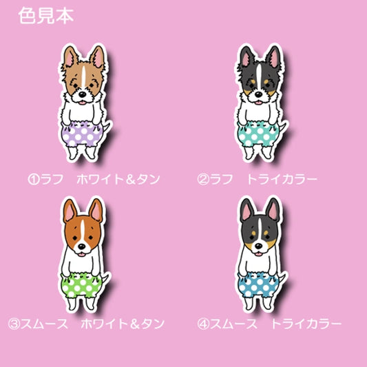 おパンツ立ち耳ジャックラッセルちゃん。43-11