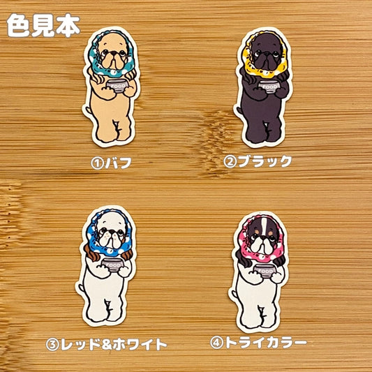 ごはんの時間じゃない~?って言ってるアメコカちゃん。5-10