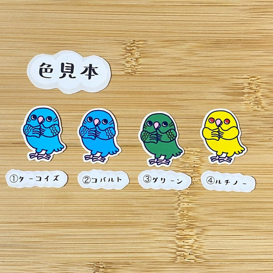 かわいいサザナミインコちゃん。