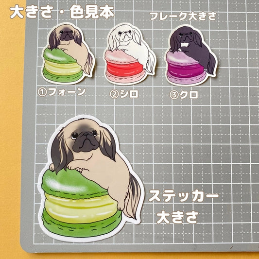 マカロン大好きペキニーズちゃん。97-