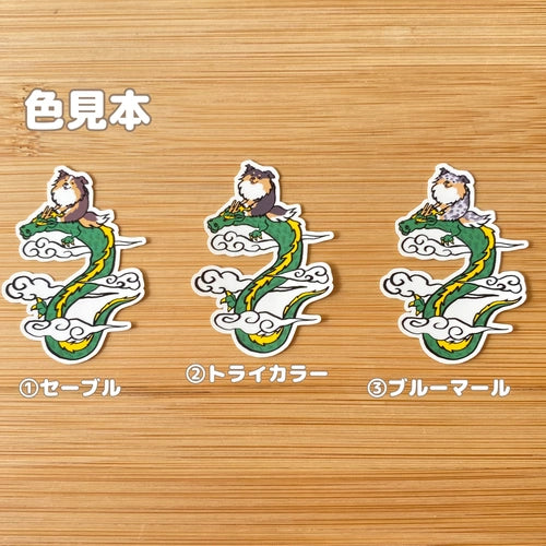 龍に乗ったシェルティさん。38-8