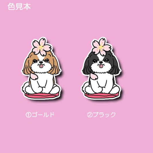 シーズーちゃんの春のご挨拶。35-17
