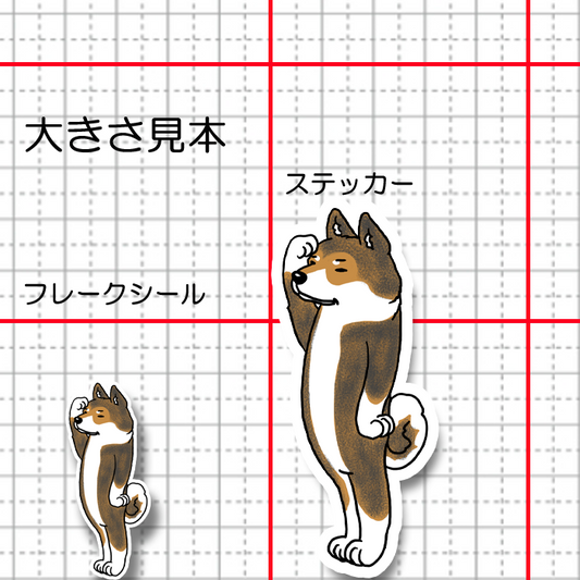 留守番中の四国犬さん。133-3