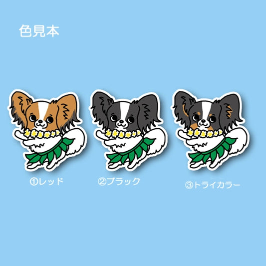 フラパピヨンちゃん。80-