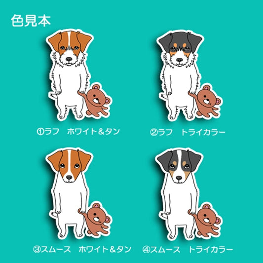 遊んでほしいジャックラッセルちゃん。42-13