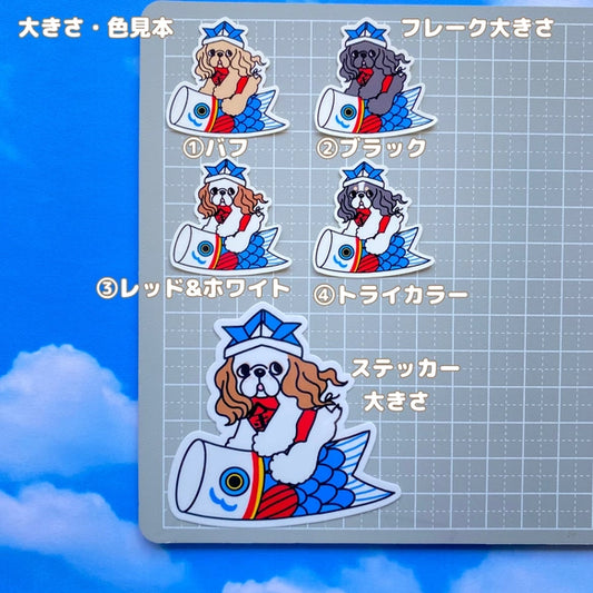 アメコカちゃんの端午の節句。5-8