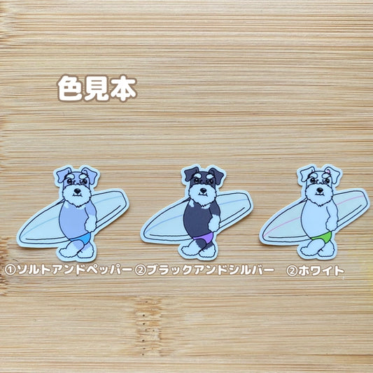 サーファーシュナウザーちゃん。44-24