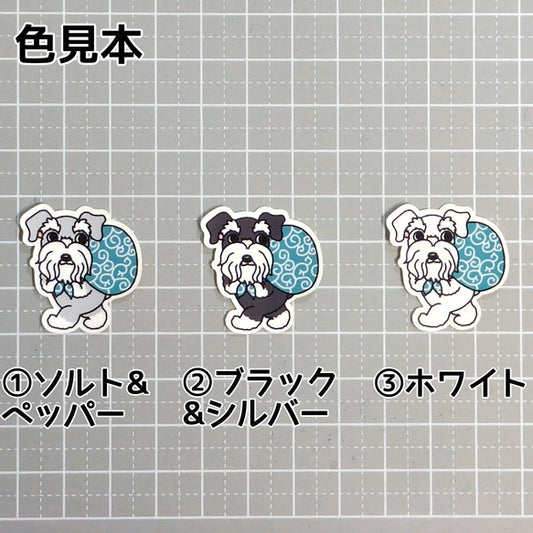 忍び足のシュナウザーちゃん。44-3
