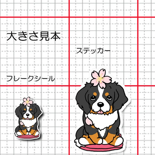 バーニーズちゃんの春のご挨拶。75-