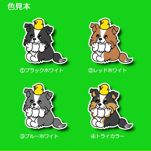 タイクツなボーダーコリーちゃん。106-