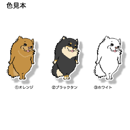 あのねーって言ってるポメチワちゃん。102-3