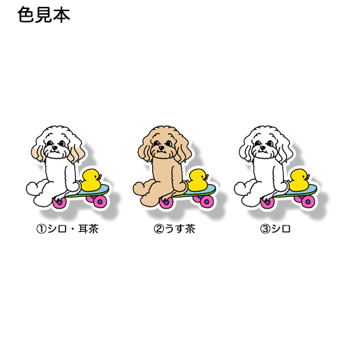 誰かと遊べるのを待ってるマルプーちゃん。111-7