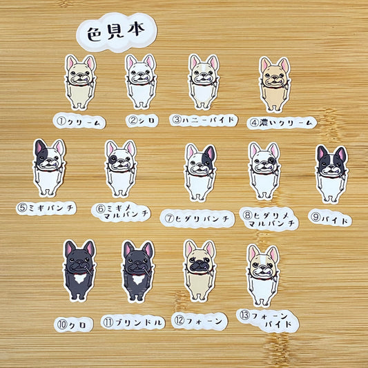 ワルイコフレブルちゃん。96−172