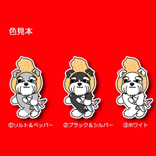千葉を旅するシュナウザーちゃん。44-17