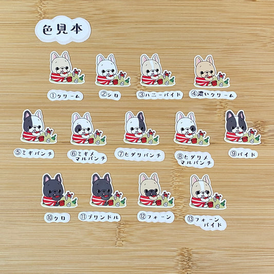 砂浜で遊ぶフレブルちゃん。96−152